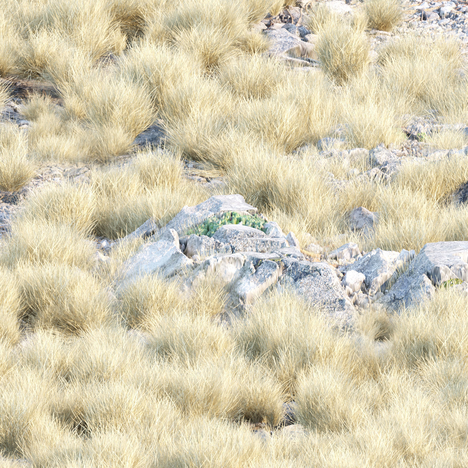 Grass for wild landscape collection vol 12 _7
