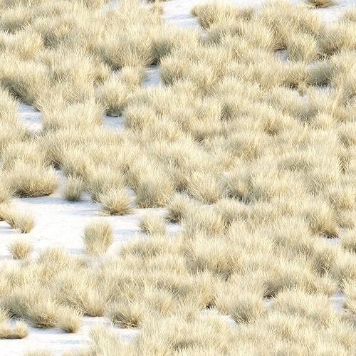 Grass for wild landscape collection vol 12 3D Model Pack 7