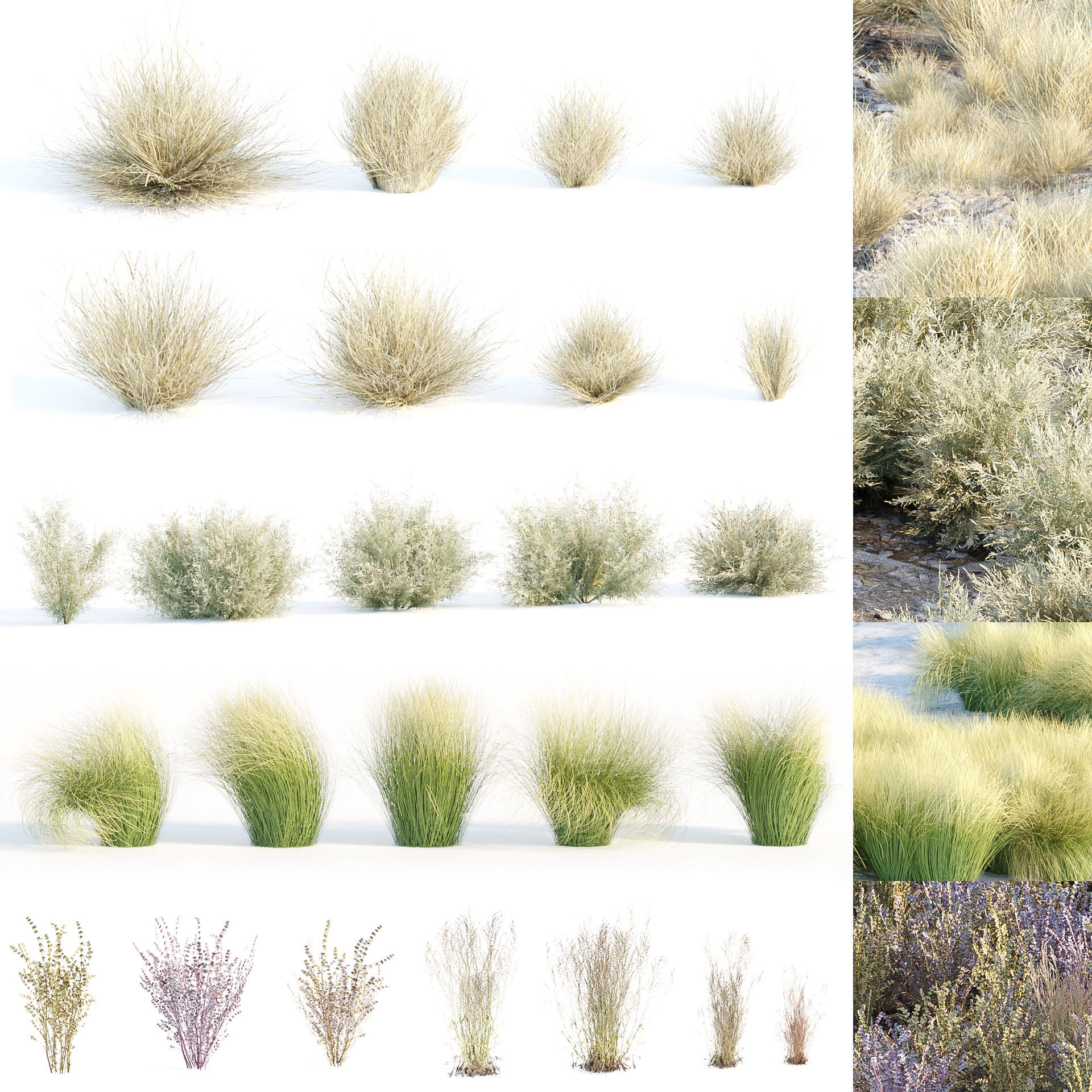 Grass for wild landscape collection vol 12 _0