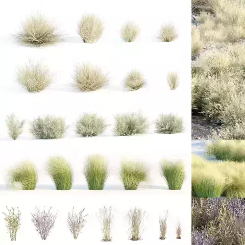 Grass for wild landscape collection vol 12 