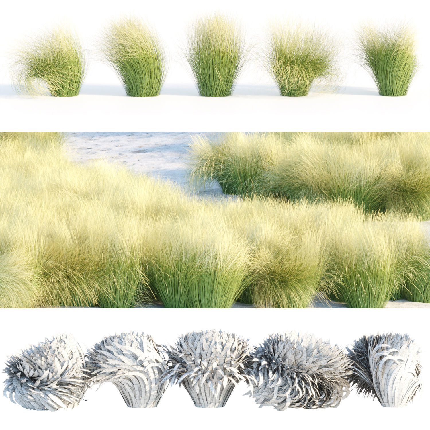 Grass for wild landscape collection vol 12 _12