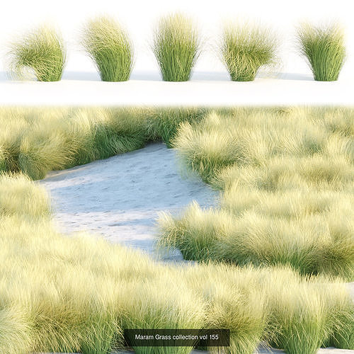 Grass for wild landscape collection vol 12 3D Model Pack 3