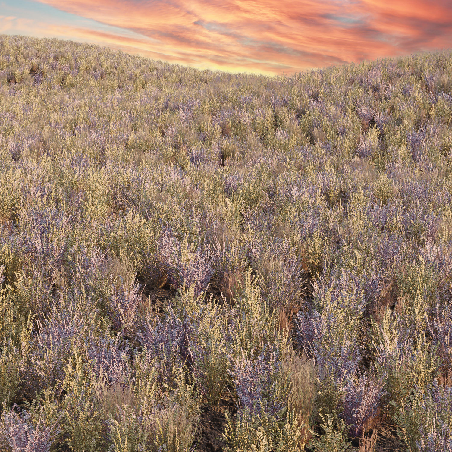 Grass for wild landscape collection vol 12 _19