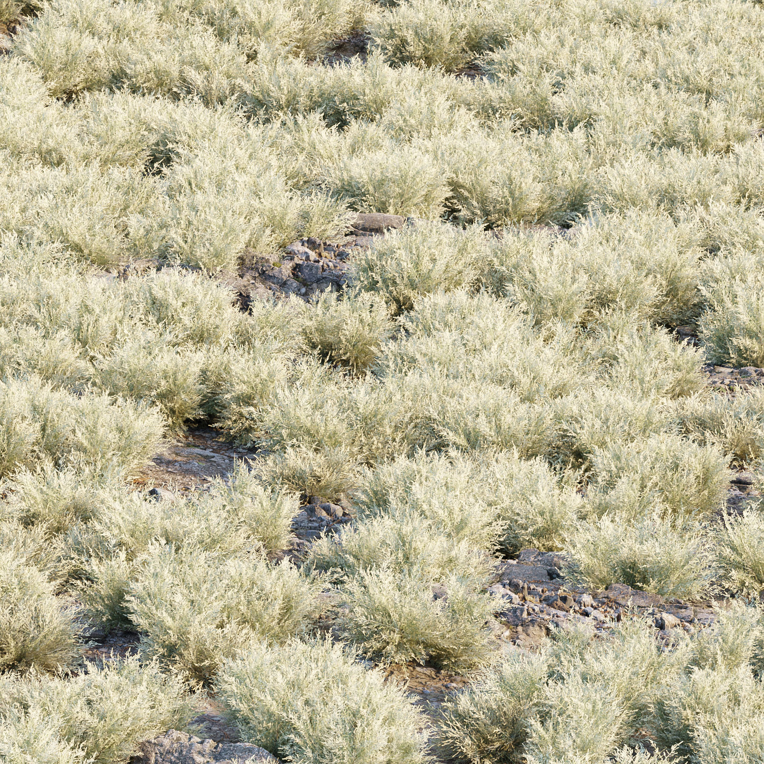 Grass for wild landscape collection vol 12 _18