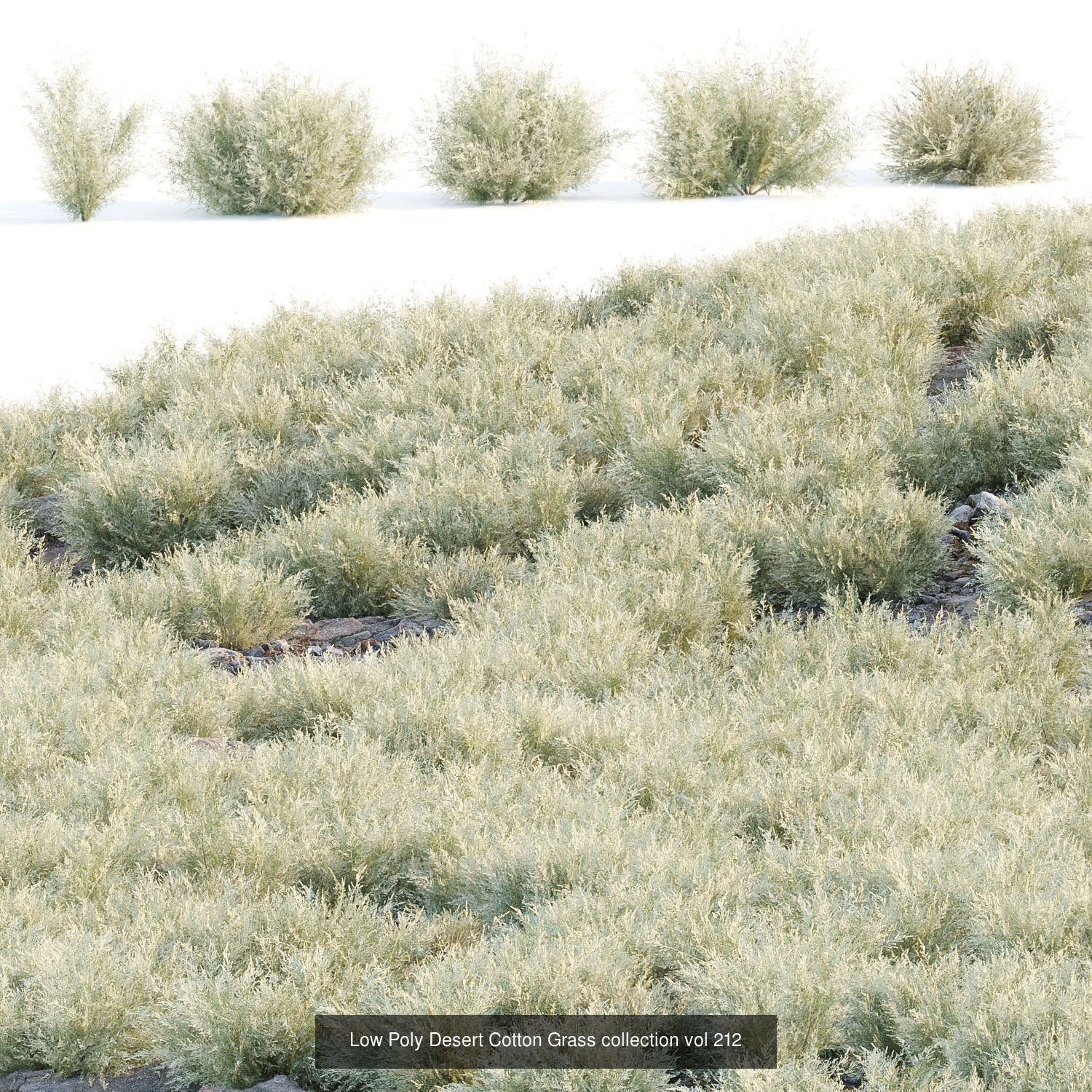 Grass for wild landscape collection vol 12 _3