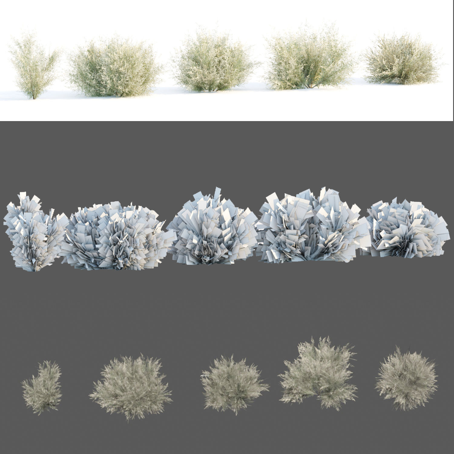 Grass for wild landscape collection vol 12 _17