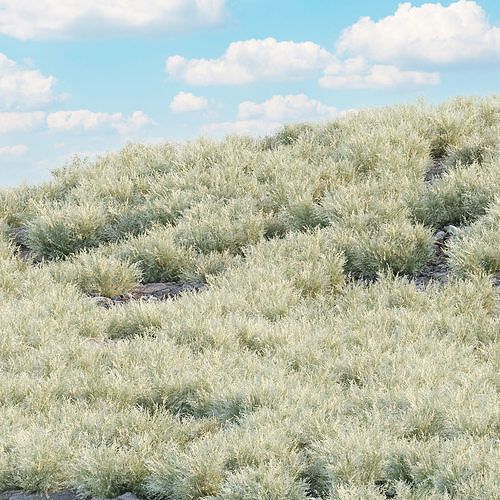 Grass for wild landscape collection vol 12 3D Model Pack 6