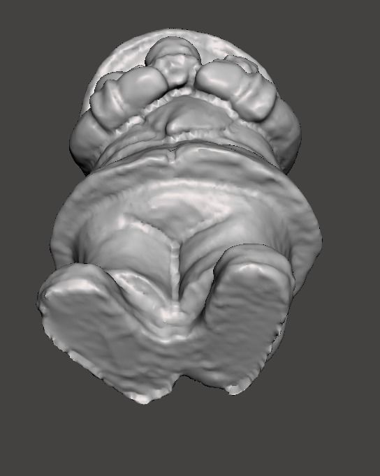 mushroom man 3D model_5