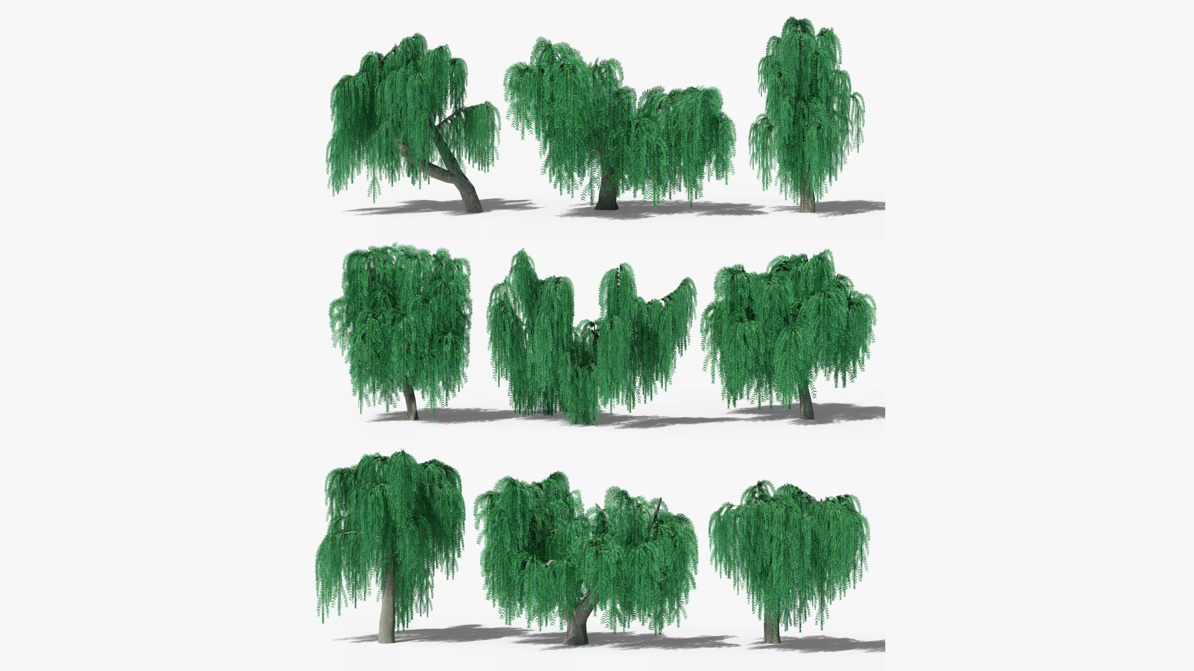 Weeping Willow Collection _0