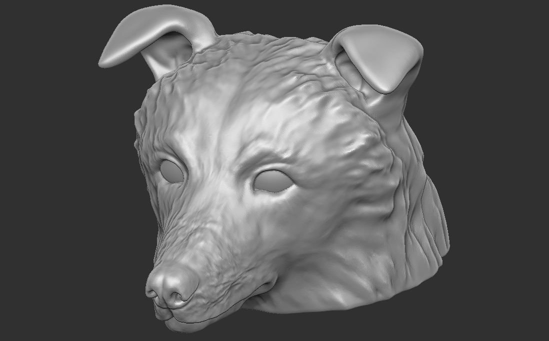 Border Collie dog head for 3D printing 3D print model_16