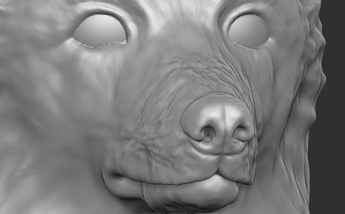 Border Collie dog head for 3D printing 3D print model_19