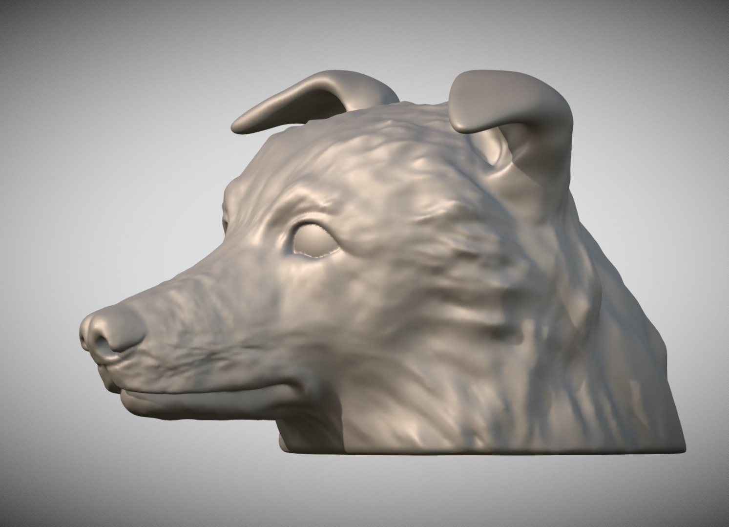 Border Collie dog head for 3D printing 3D print model_1