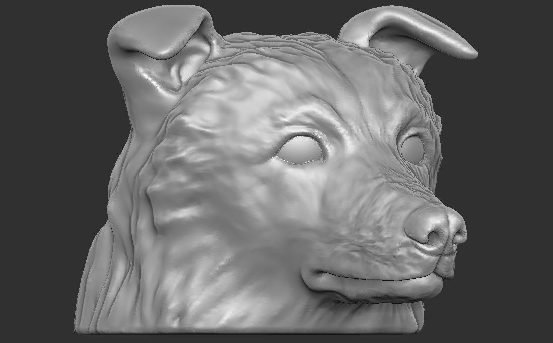 Border Collie dog head for 3D printing 3D print model_6