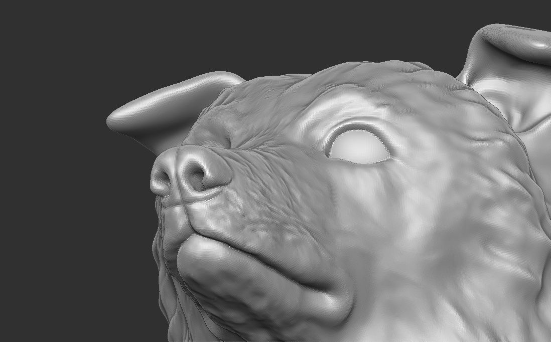 Border Collie dog head for 3D printing 3D print model_21