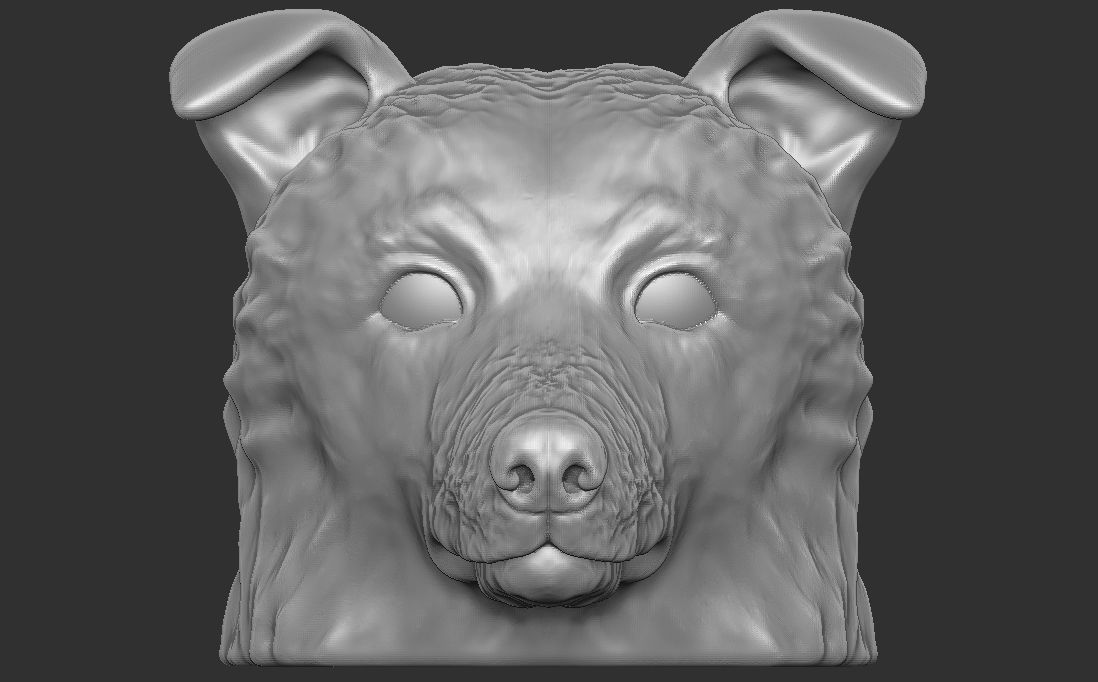 Border Collie dog head for 3D printing 3D print model_4