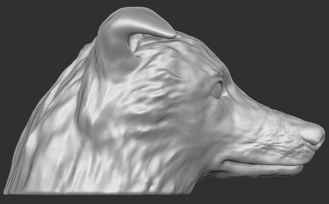 Border Collie dog head for 3D printing 3D print model_8