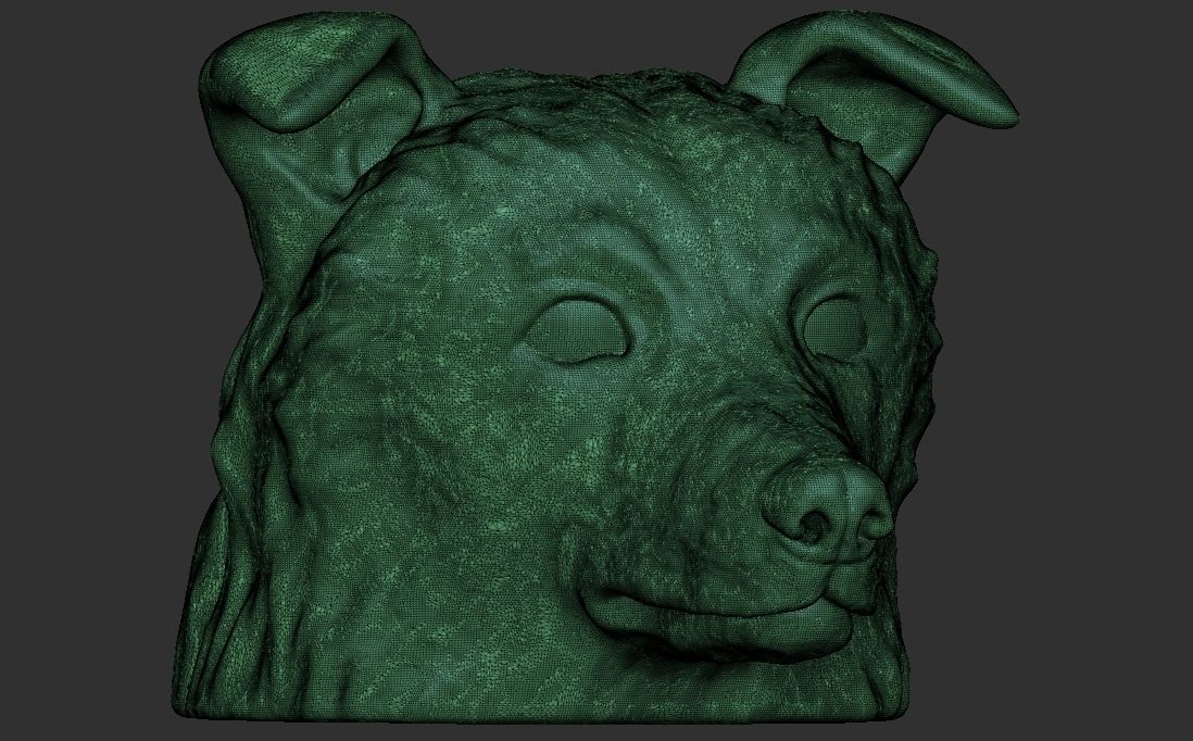 Border Collie dog head for 3D printing 3D print model_23
