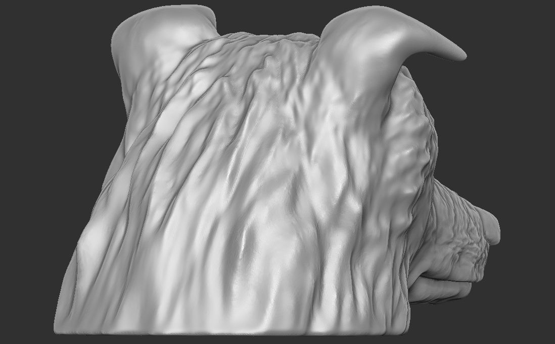 Border Collie dog head for 3D printing 3D print model_9