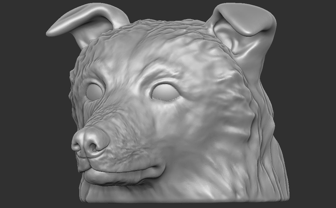 Border Collie dog head for 3D printing 3D print model_14
