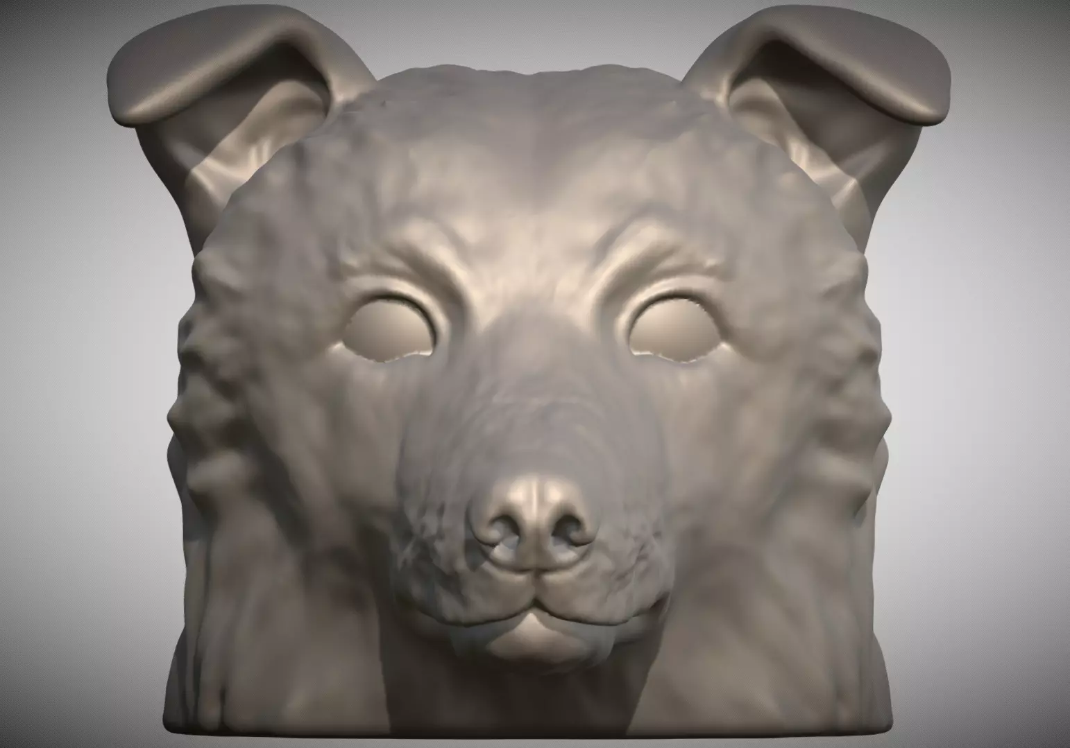 Border Collie dog head for 3D printing 3D print model_0