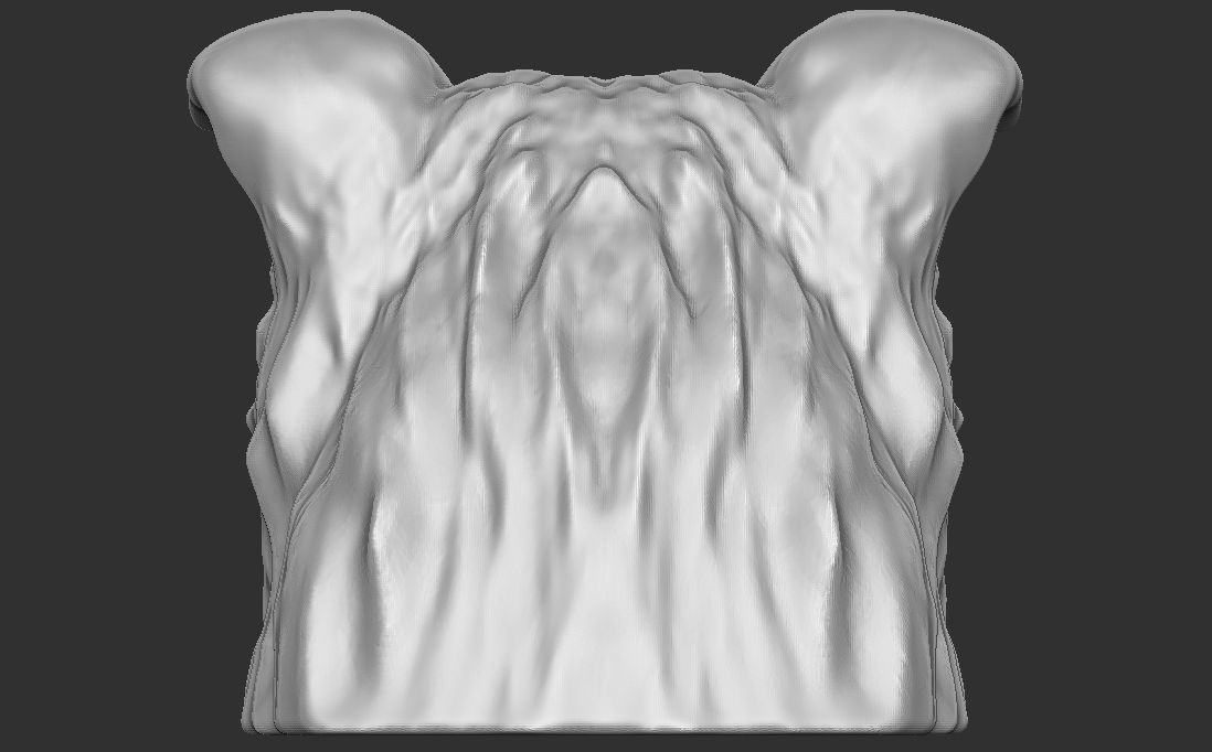 Border Collie dog head for 3D printing 3D print model_10