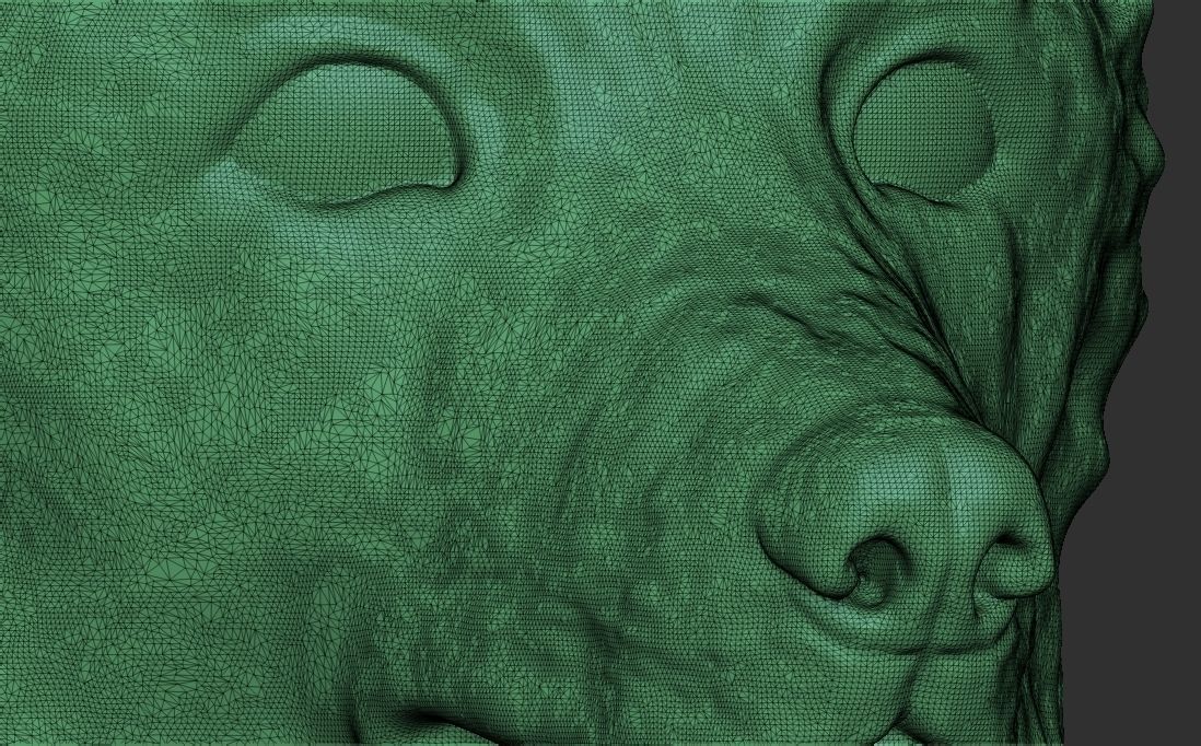 Border Collie dog head for 3D printing 3D print model_24