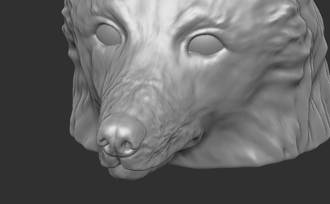 Border Collie dog head for 3D printing 3D print model_20