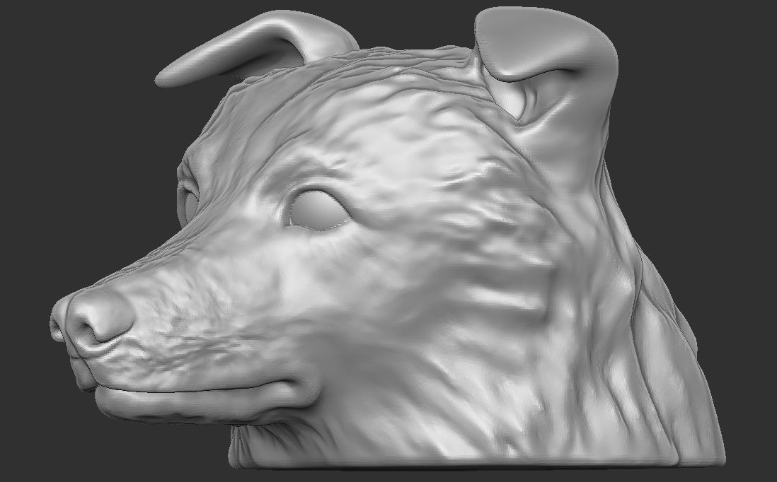 Border Collie dog head for 3D printing 3D print model_13