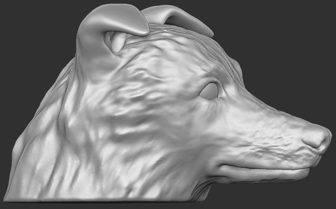 Border Collie dog head for 3D printing 3D print model_7
