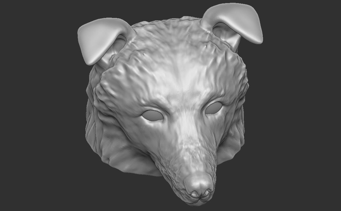 Border Collie dog head for 3D printing 3D print model_15