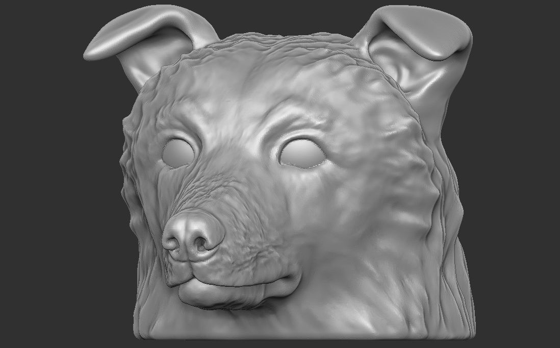 Border Collie dog head for 3D printing 3D print model_3