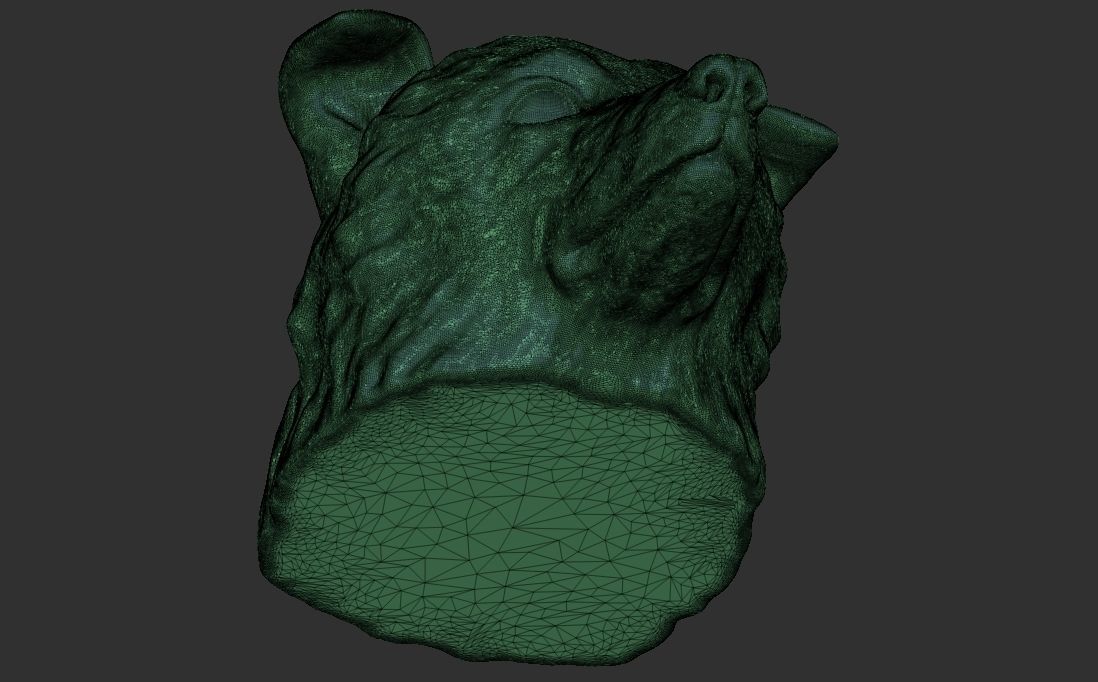 Border Collie dog head for 3D printing 3D print model_25