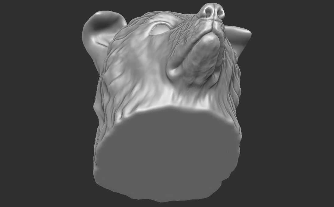 Border Collie dog head for 3D printing 3D print model_18