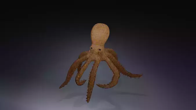 Blender Rigged Octopus 3D model