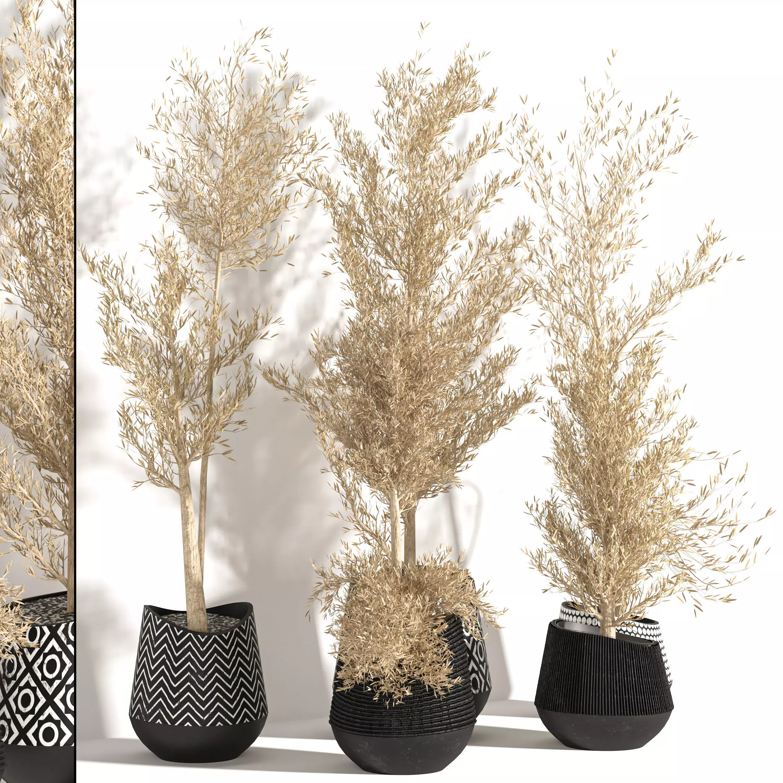 indoor plant vol 33 3D model