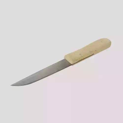 Kitchen Knife