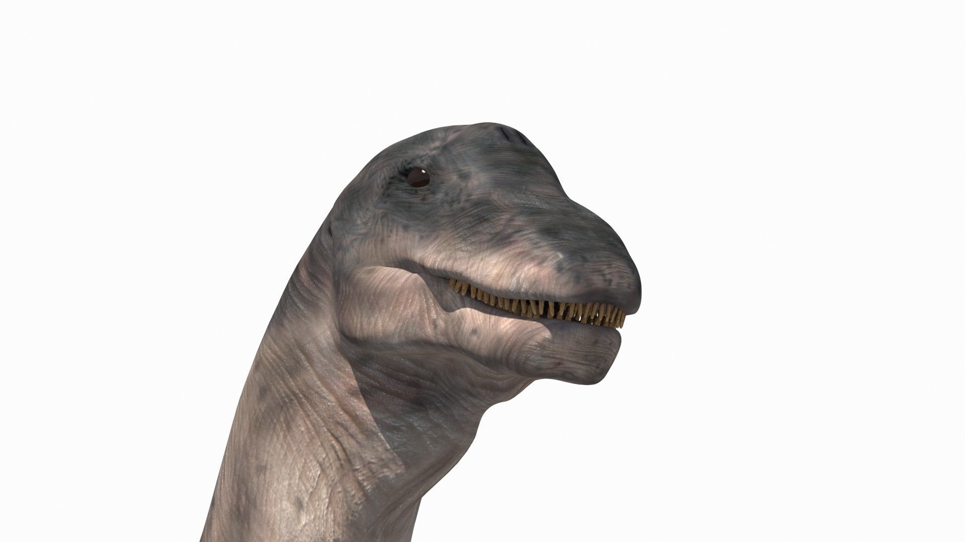 Apatosaur Forever - 8K 3D model_16