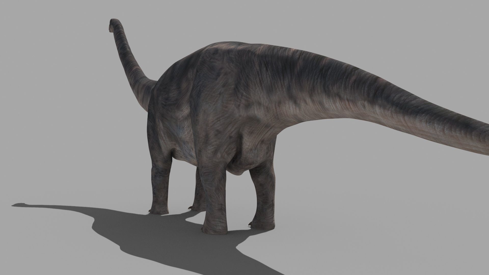 Apatosaur Forever - 8K 3D model_19