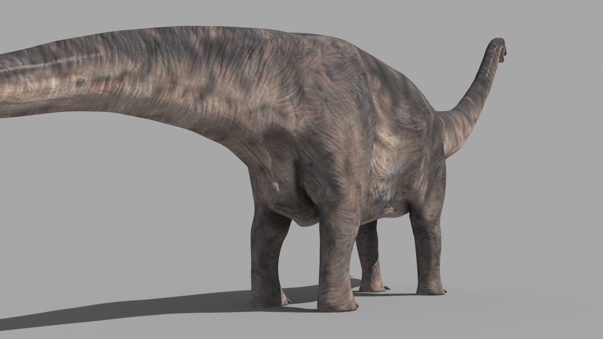 Apatosaur Forever - 8K 3D model_12