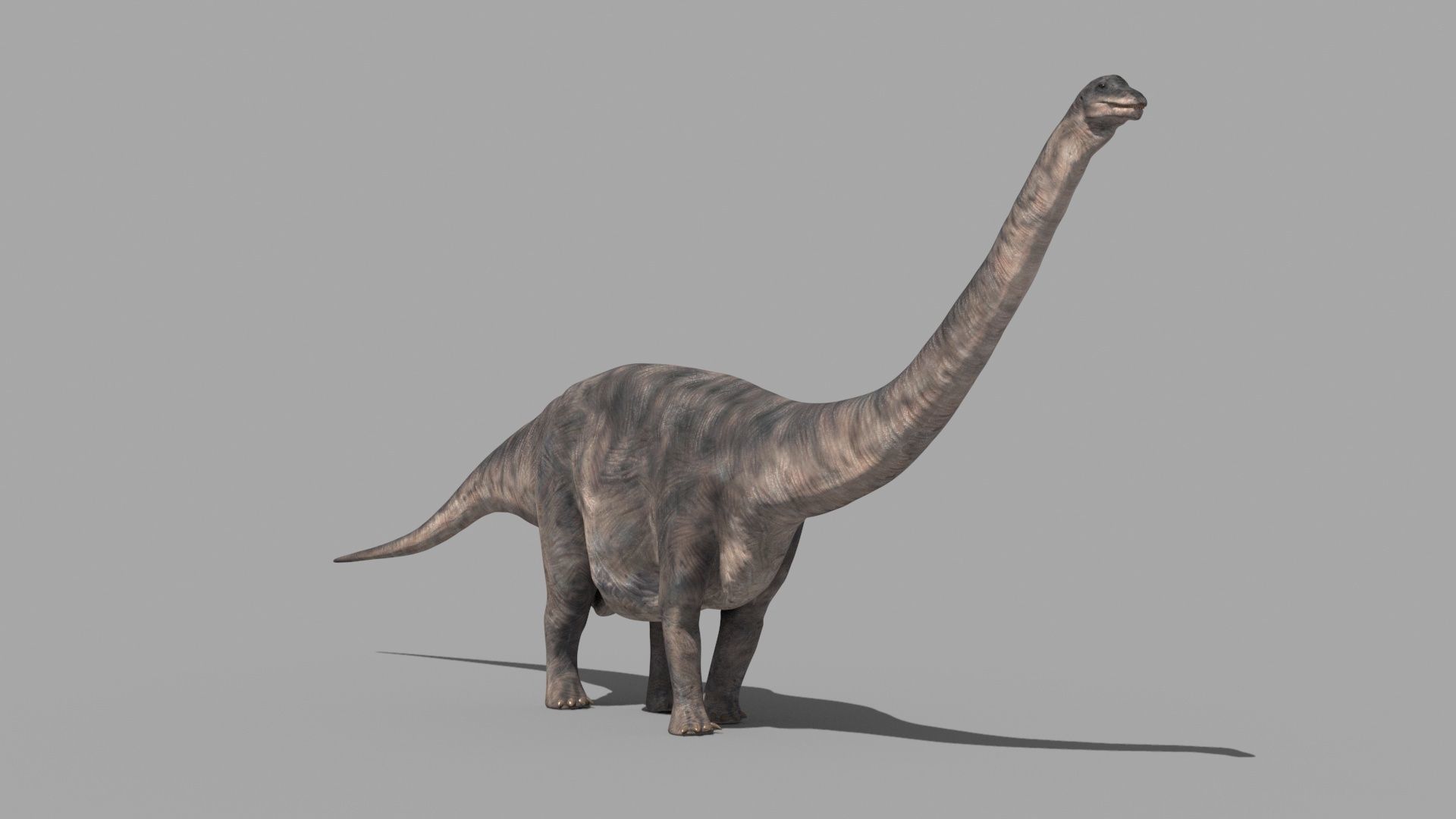 Apatosaur Forever - 8K 3D model_5