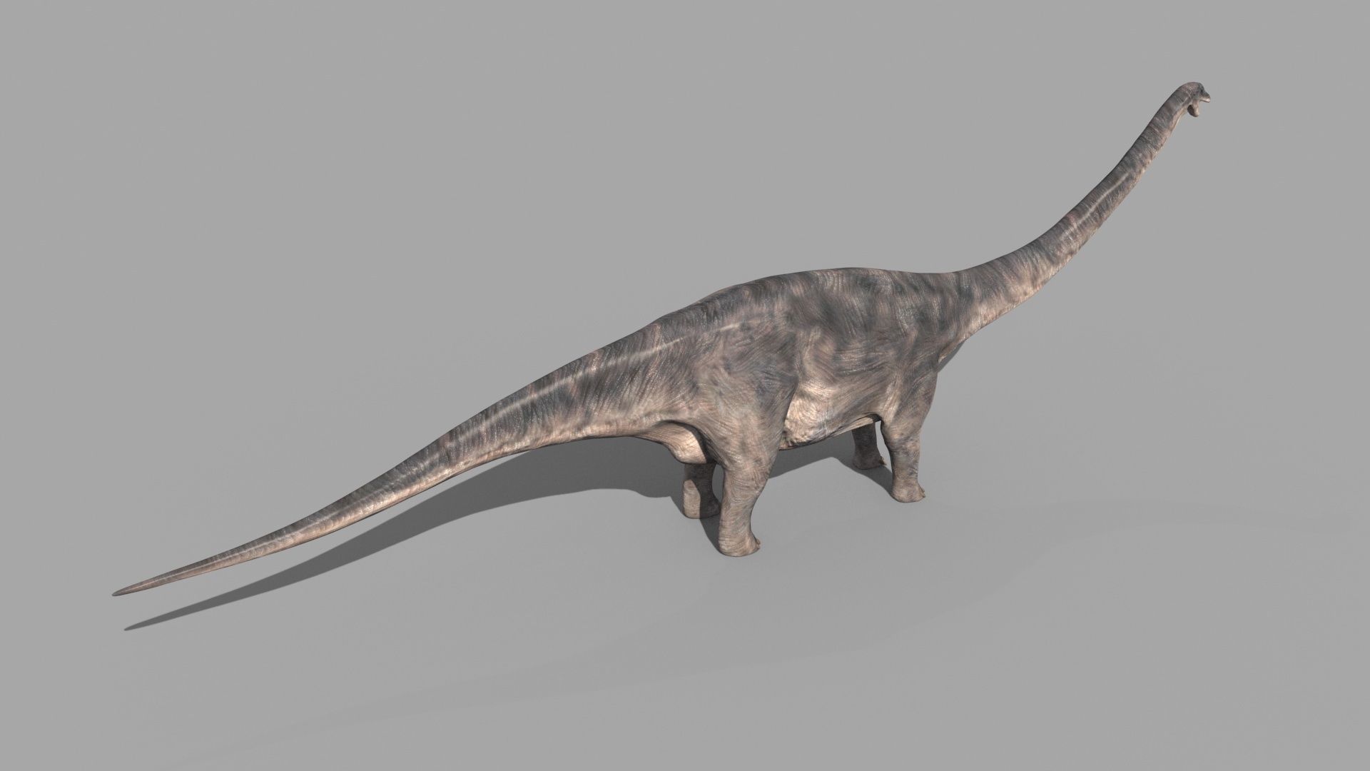 Apatosaur Forever - 8K 3D model_8