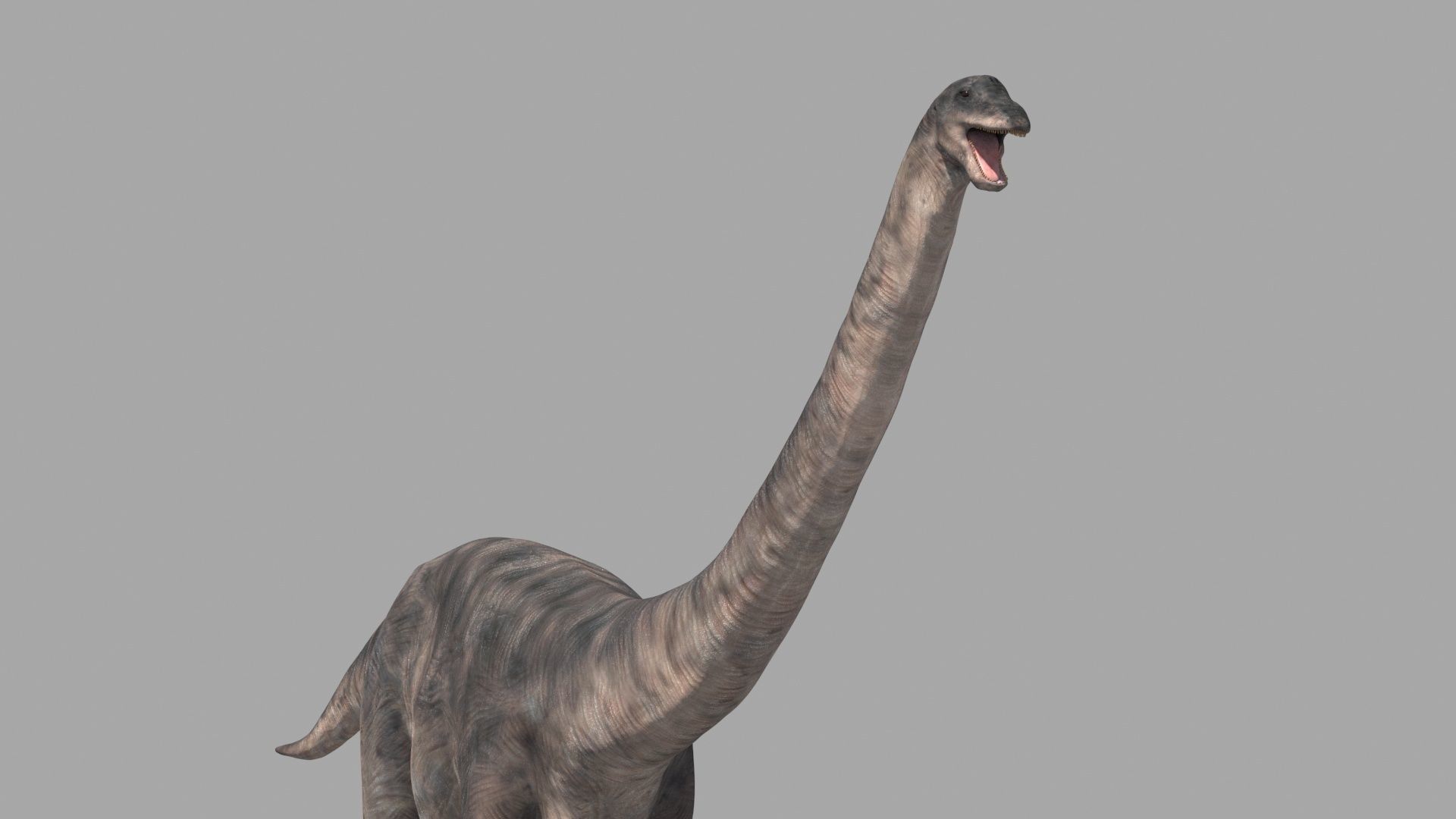 Apatosaur Forever - 8K 3D model_13