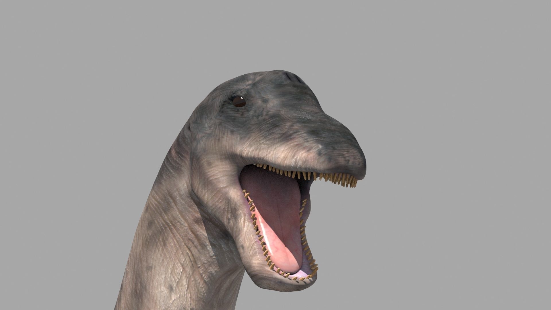 Apatosaur Forever - 8K 3D model_14