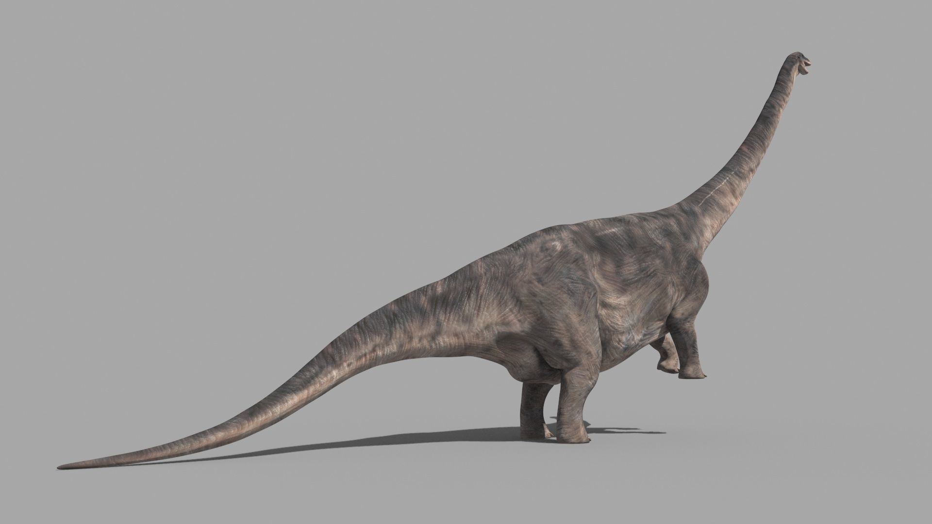 Apatosaur Forever - 8K 3D model_4
