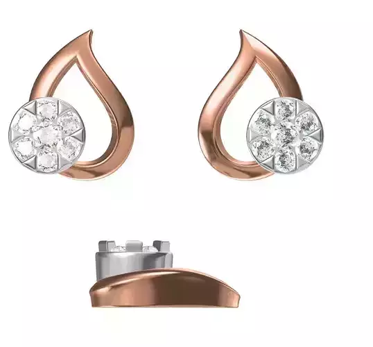 Women Earrings STL JCD Details