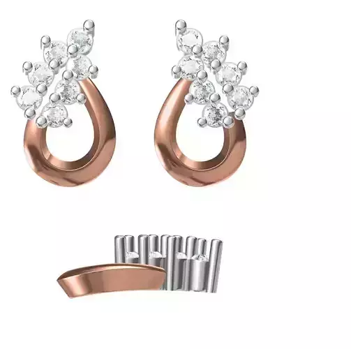 Women Earrings STL JCD Details