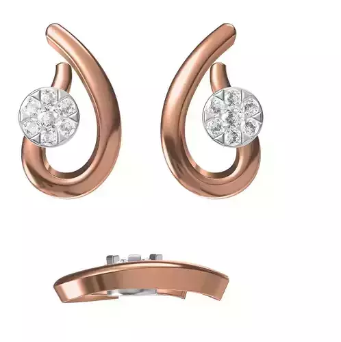 Women Earrings STL JCD Details