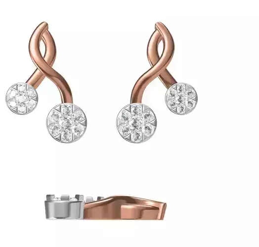 Women Earrings STL JCD Details