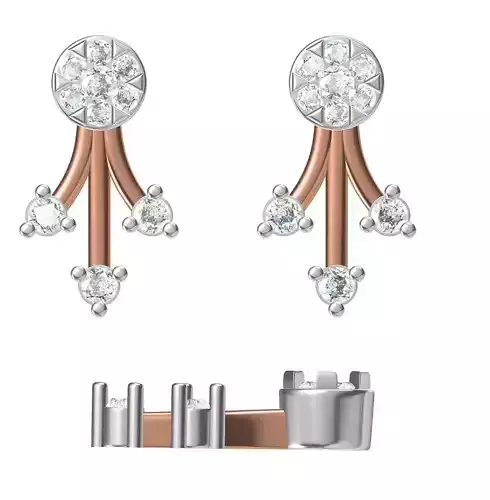 Women Earrings STL JCD Details