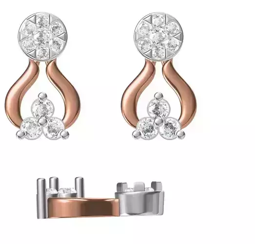 Women Earrings STL JCD Details